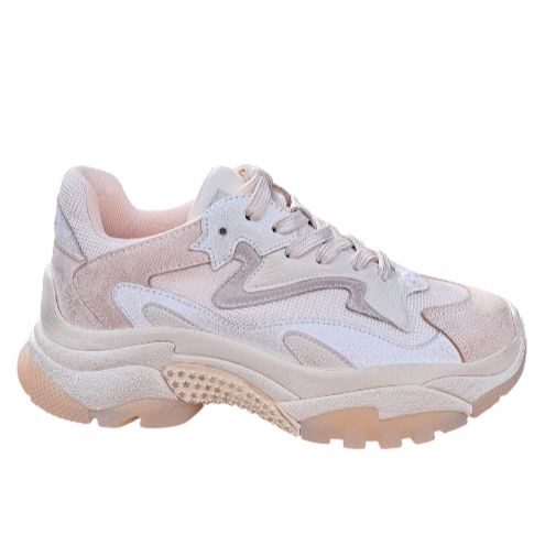 126379 - Scarpa casual - ASH