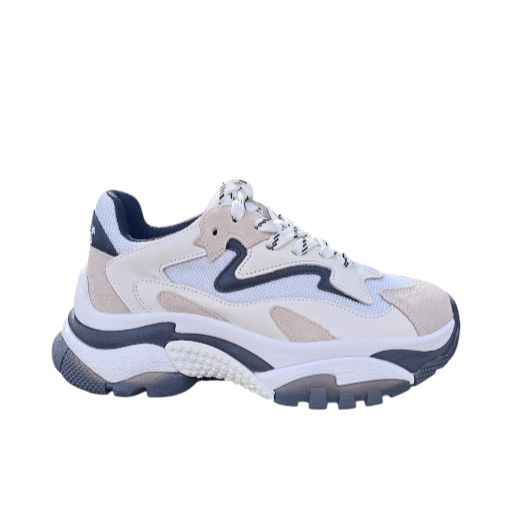 126379 - Scarpa casual - ASH