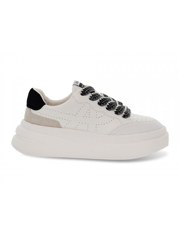 FW24-S-137852-002 - SNEAKER - ASH