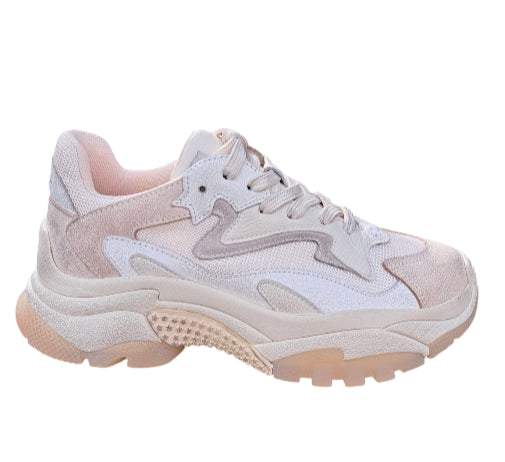 126379 - Scarpa casual - ASH