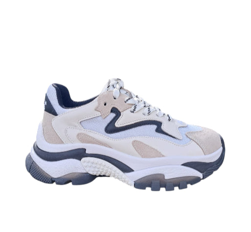 126379 - Scarpa casual - ASH