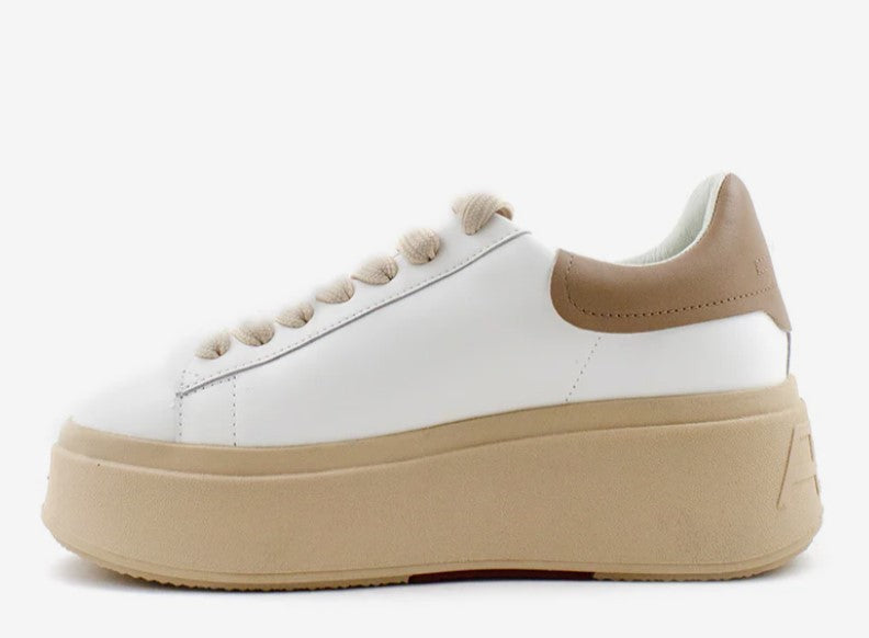 FW23-S-133641-001 - scarpe da ginnastica - ASH