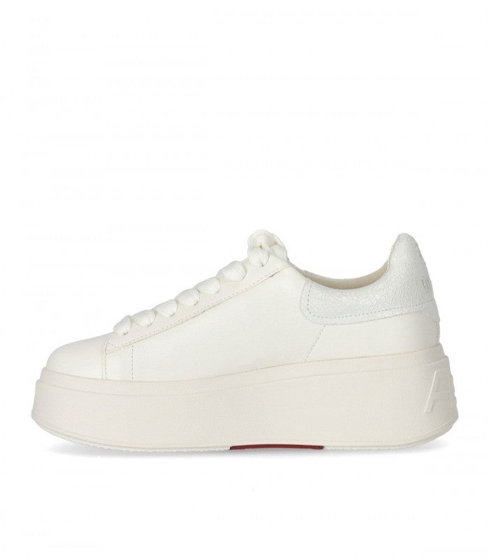 SS24-S135267-003 - scarpe da ginnastica - ASH